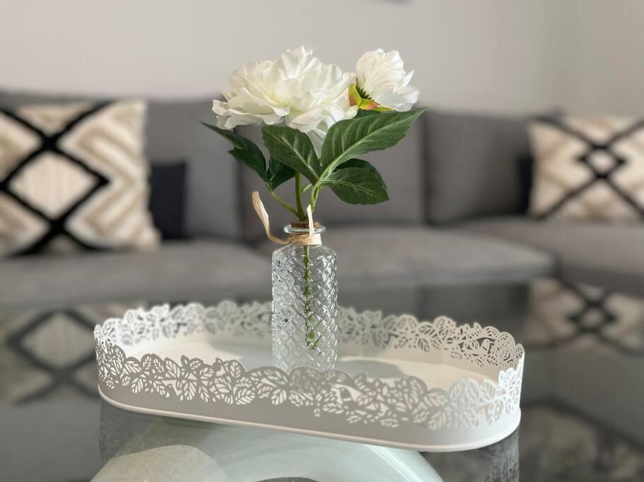Appartement T2 Vue Panoramique Sur Annecy Seynod Ngoại thất bức ảnh